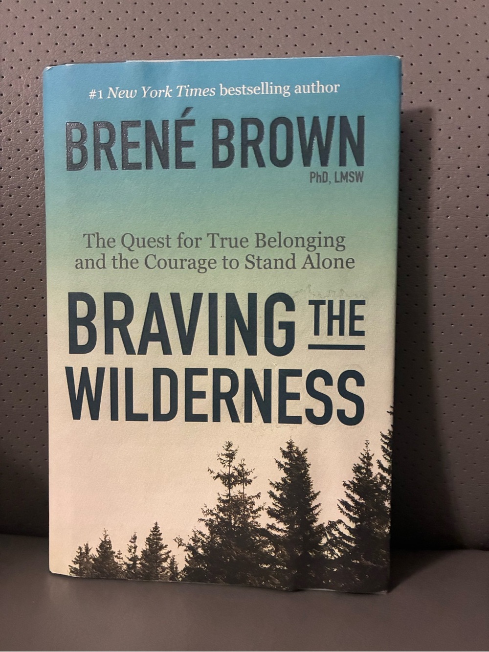 Braving the Wilderness by Brené Brown - Blue/Teal Gradient Cover
